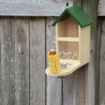 Kan jeg bruge vildtfuglefoder til at trække fugle til min have?